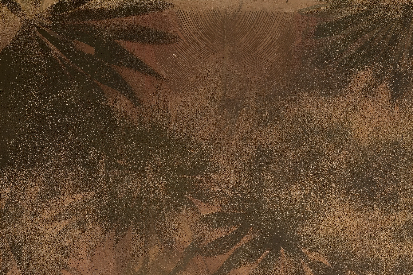 Herbier Limbe HL201 1635